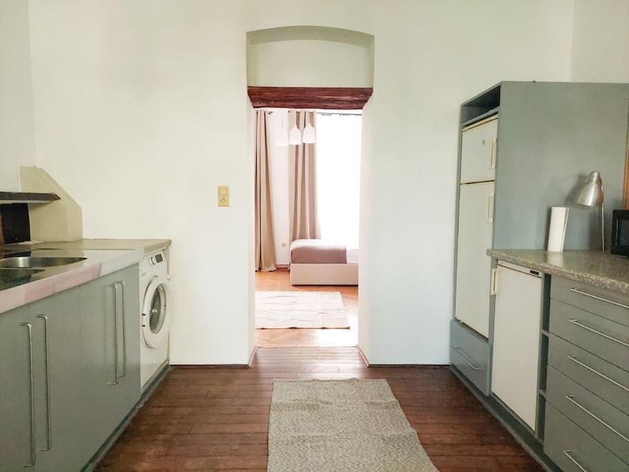 Big Garden Apartment, 10 Minutes To U4 And U6 Viena